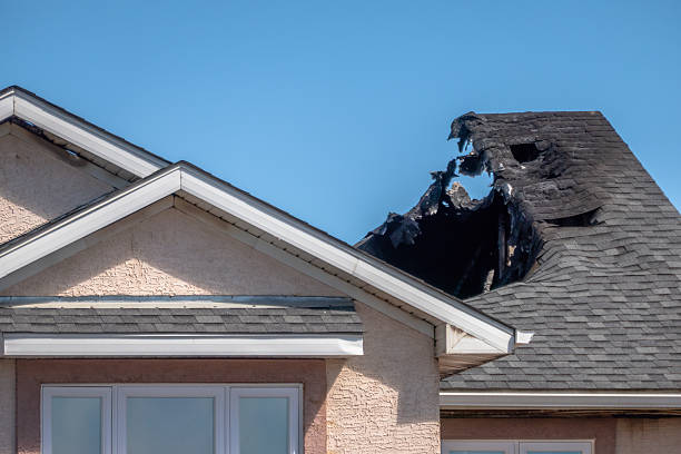 Top rated local Odor Removal specialists in Hastings, MN